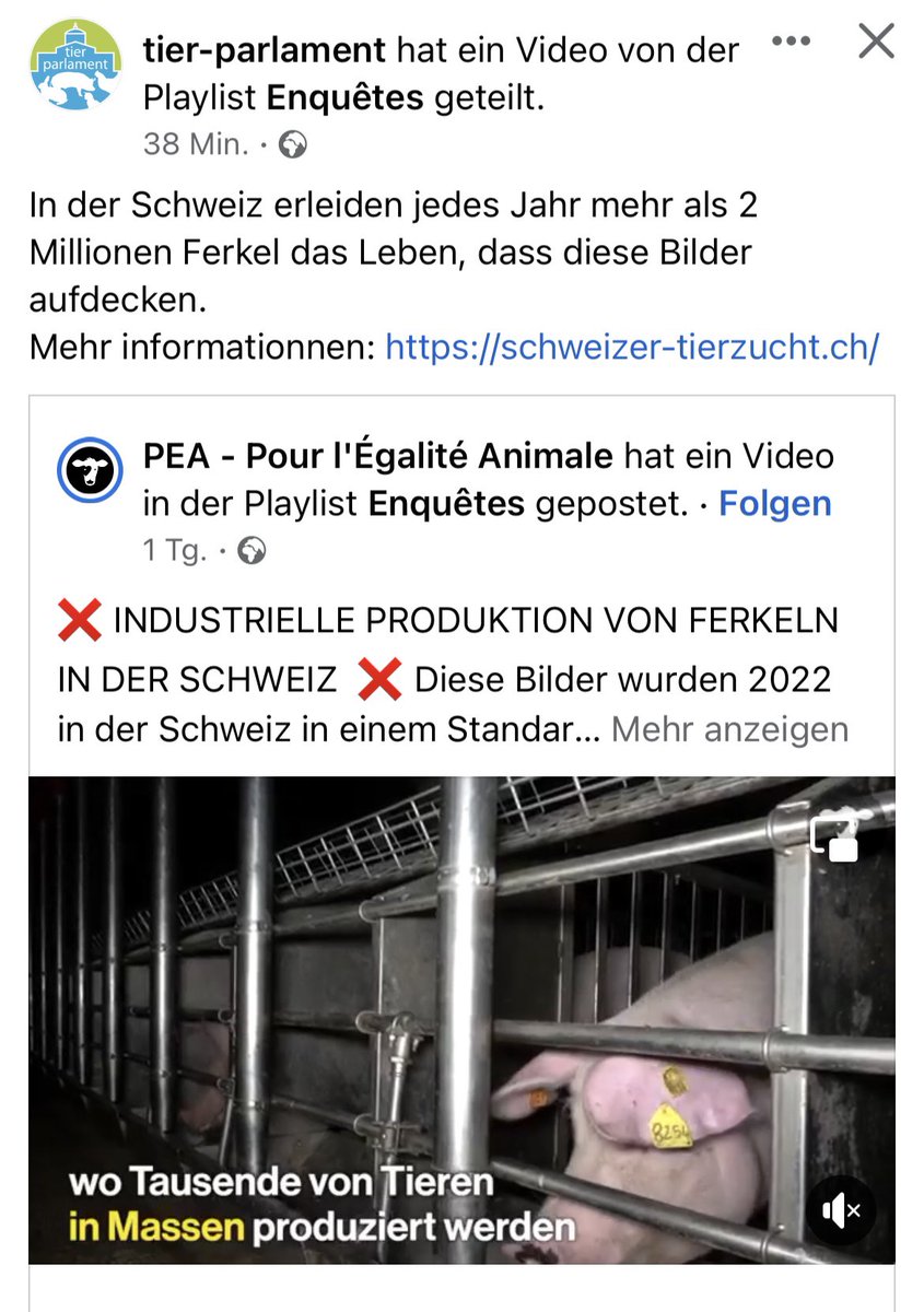 AllmenNora's tweet photo. https://t.co/5cbET8lcqE

……………
@SVPch @tierhaltung2022 @migros @coop_ch @SchweizerBauer @Mitte_Centre @tierrecht @sentience_ch @schweizerfleisch 
Deshalb!: JA @Tierwohl_JA https://t.co/MifVnUcm43