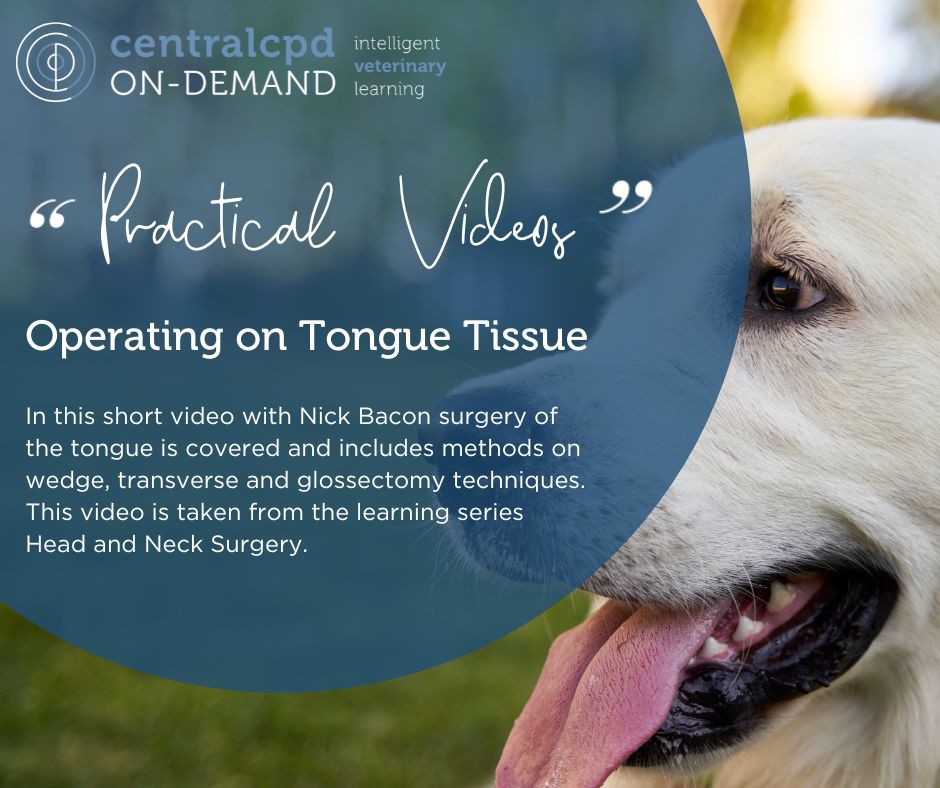 VetECPD's tweet photo. * P R A C T I C A L  V I D E O S *
https://t.co/wsOFQVQODE
FREE TO SUBSCRIBERS ! https://t.co/TXbunEEuFi