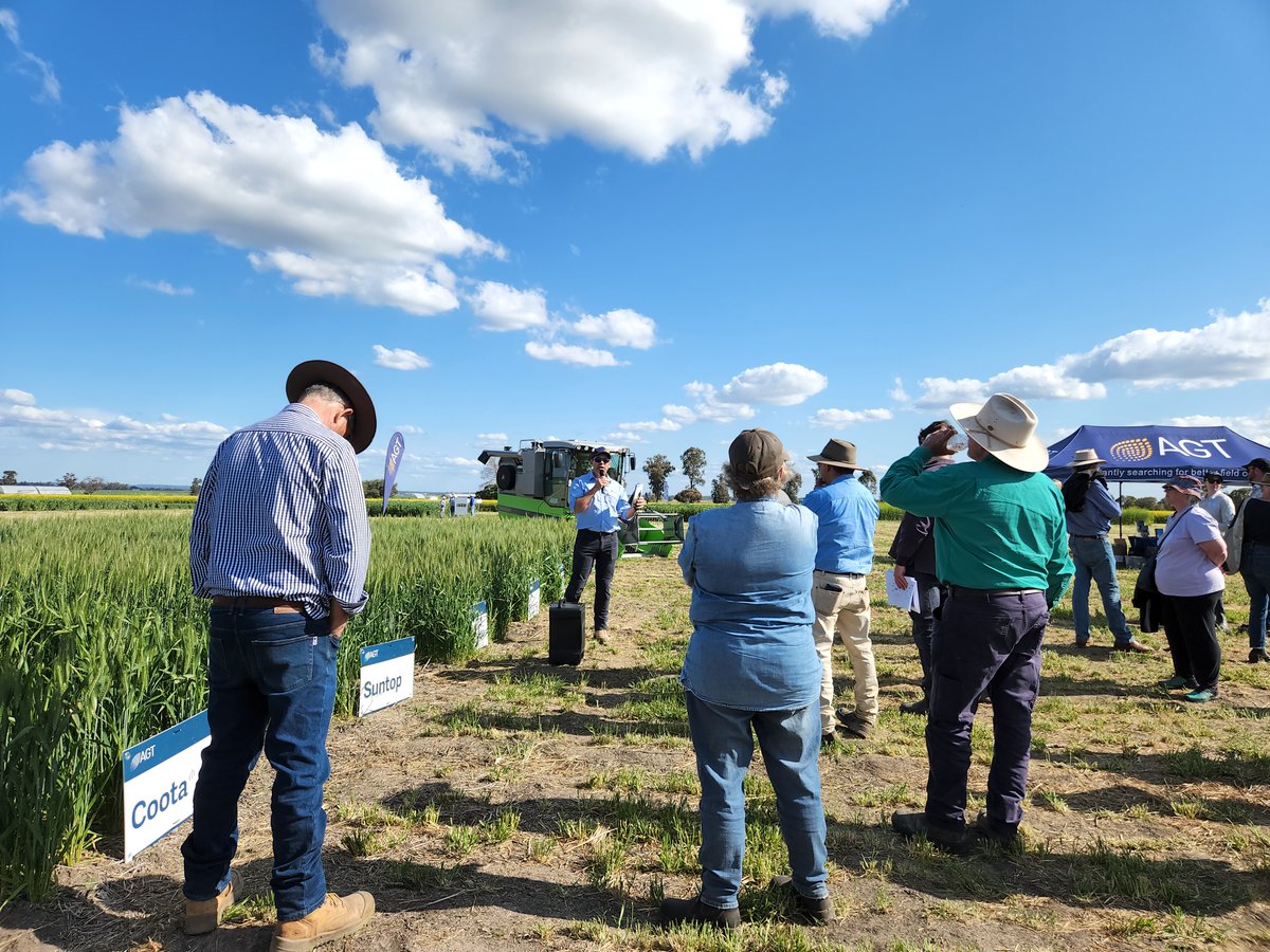 lush_douglas's tweet photo. PBI Narrabri field day was a great success. Lots of sun and engaging talks.
@lmeiqin discussed all things breeding in the panel session.
I talked about our wheat varieties covering maturities from #Sunmax to #Sunprime
Thanks to @kapcejevs & the @agtbreeding Narrabri team. https://t.co/gsam5udsLP