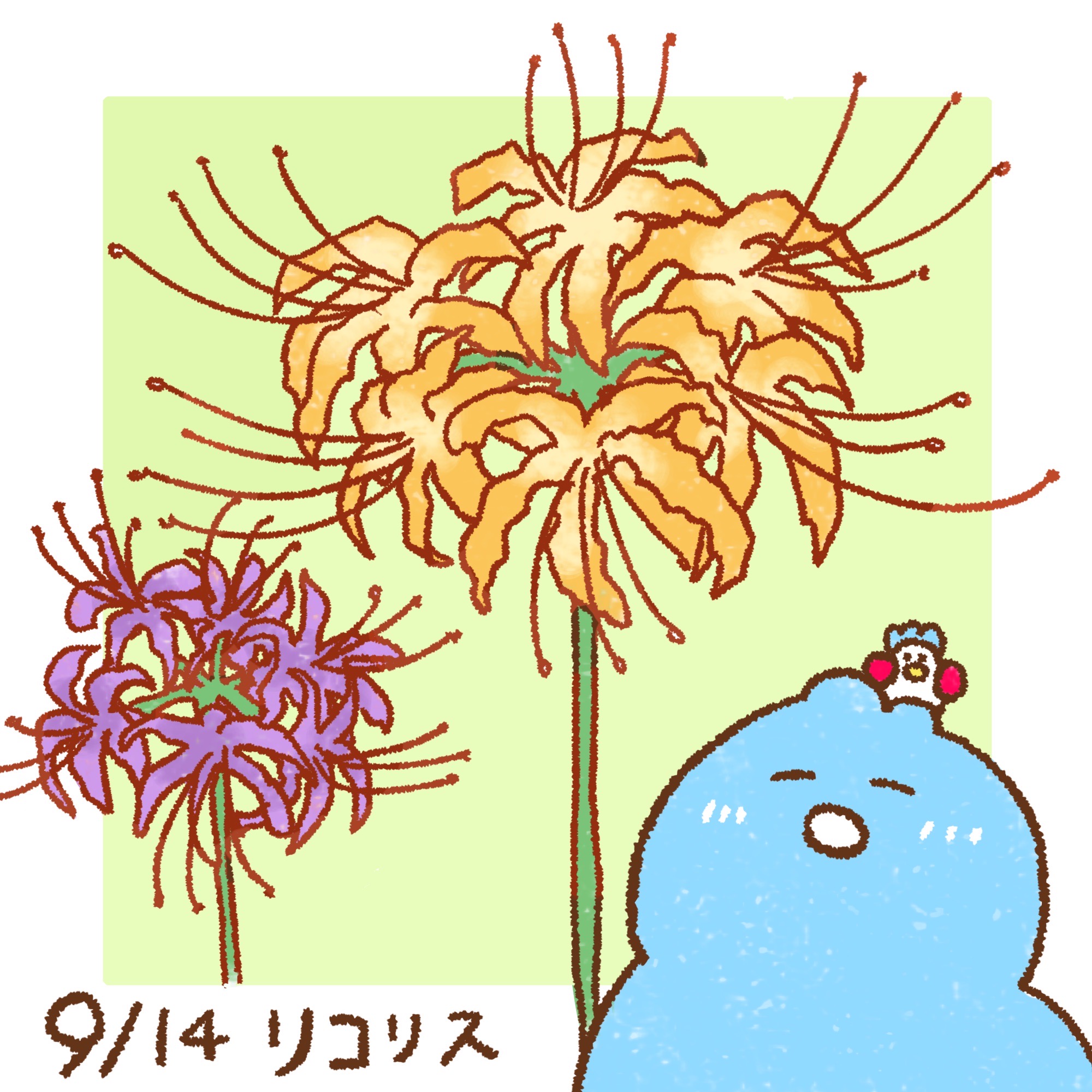 太りすぎたびわこ 9月13日の誕生花は リコリス 花言葉 元気な心 ヒガンバナの仲間だよ 赤いヒガンバナに対して リコリスはオレンジ ピンク 紫 白などのカラフルな花が咲くんだって ゆるいイラスト T Co Zmqo559kul Twitter 太りすぎたびわこ 9月13日の誕生花は リコリス 花言葉 元気な心 ヒガンバナの仲間だよ 赤いヒガンバナに対して リコリスはオレンジ ピンク 紫 白などのカラフルな花が咲くんだって ゆるいイラスト T Co Zmqo559kul Twitter