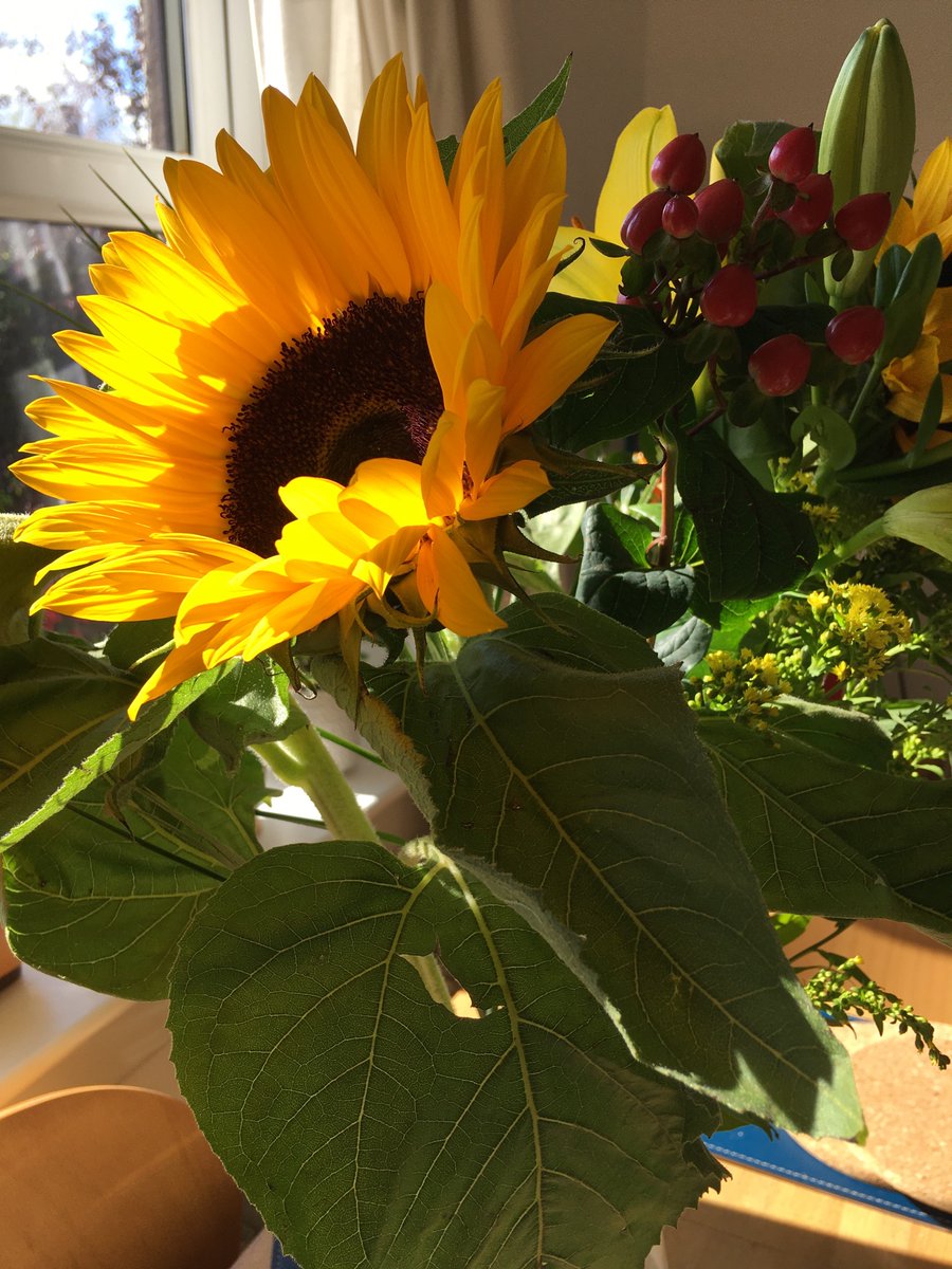 Really thrilled to have passed my viva yesterday! Thank you very much to my examiners Prof Charlotte Alston <a href="/LottieAlston/">Charlotte Alston</a>  and Prof Alvin Jackson for a really interesting and encouraging discussion. Now for some rest…