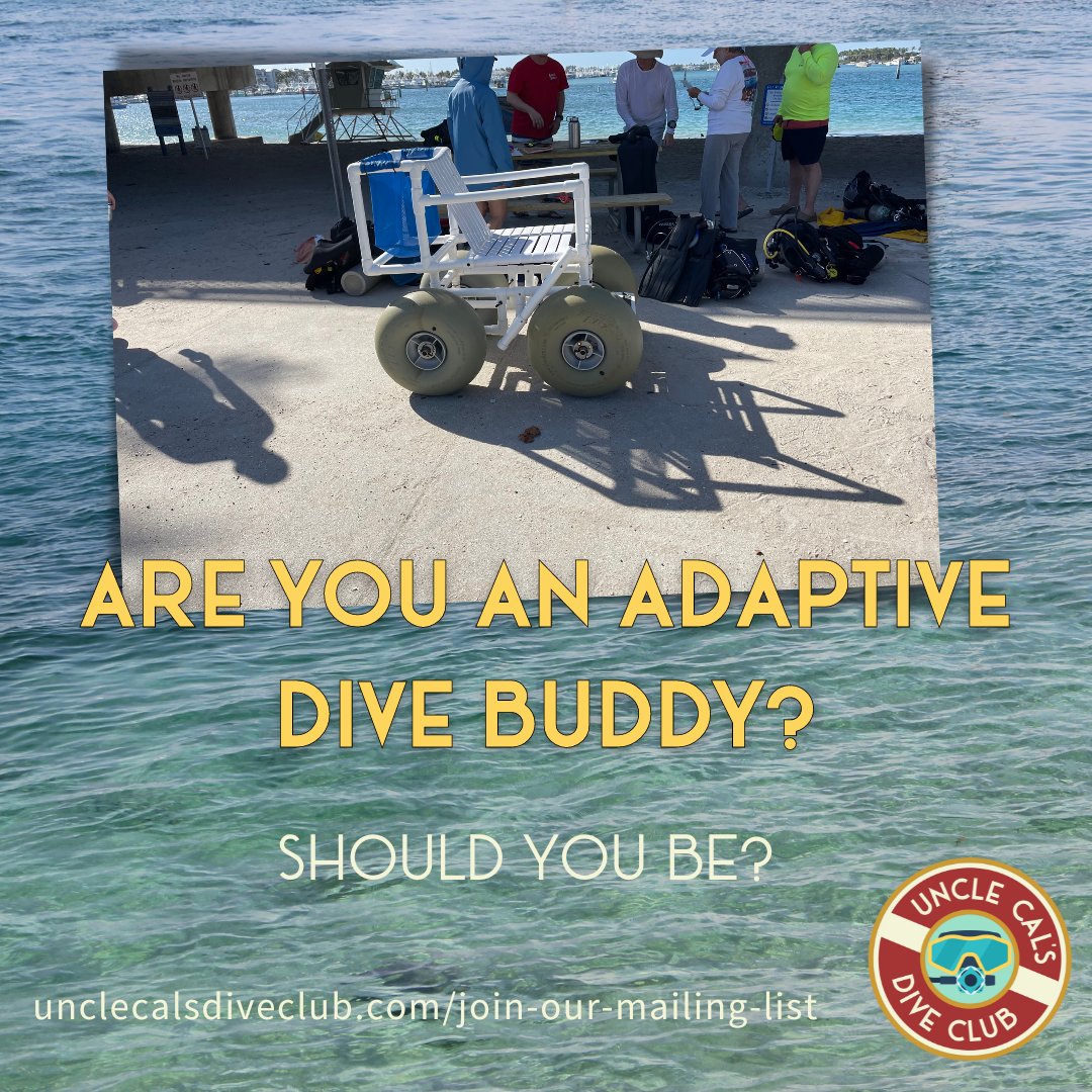 Are you an adaptive dive buddy? Join our email list for new scuba divers and learn about adaptive diving and much more.

wfy.ai/3KmpnH7

#scubDiving #scubaLife #adaptiveDiving