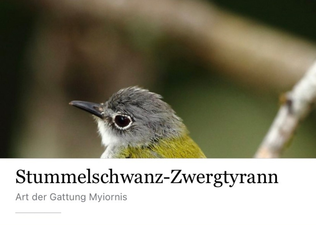 <a href="/akm0803/">Ann-Katrin Müller</a> Gnihihi.