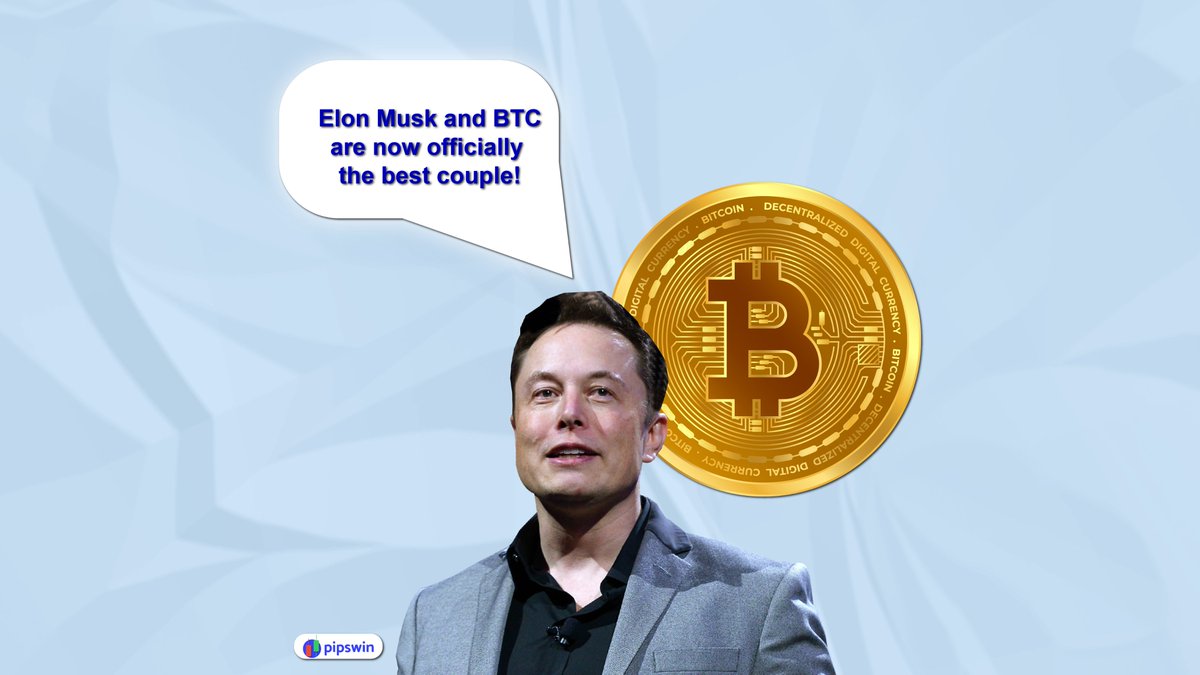Brad Pit and Angelina Jollie are couples of goals? 🤔

😉 Well, then the same can be said for #ElonMusk and #BTC.
Those eyes of Elon Musk never lie! 😁

...
...

 #tradingsignals #consistentprofit #forexsignals 
#accuratesignals #tradingsignals #forextrading #pipswin