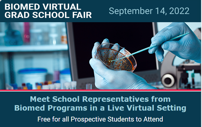 USF MCOM Graduate Programs tweet media