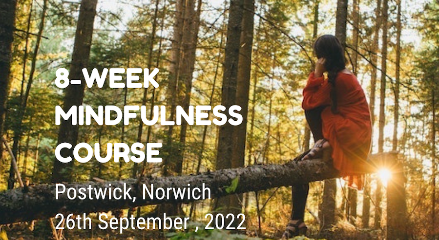 DebbieLarson22's tweet photo. Mindfulness improves sleep😴 and wellbeing🌱 and reduces pain and fatigue.  The next 8-Week Studio Mindfulness Courses start 26th Sept in Norwich and the next online course starts 16th Jan 2023. https://t.co/02kF3nV4cG https://t.co/tmfBtX6T8d