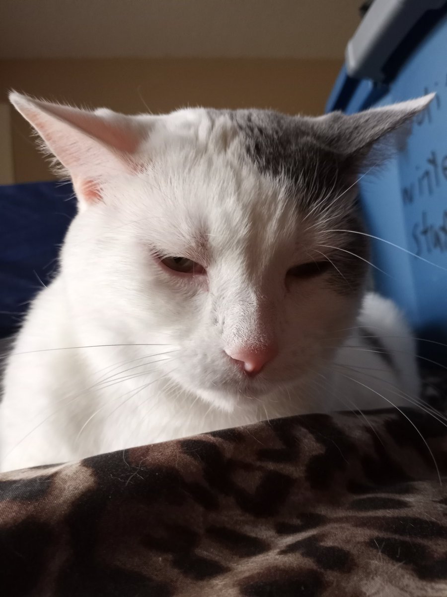 speepy babee,,,