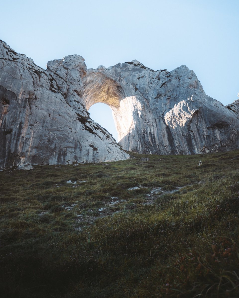 Gm, Twitter dwellers 🌞