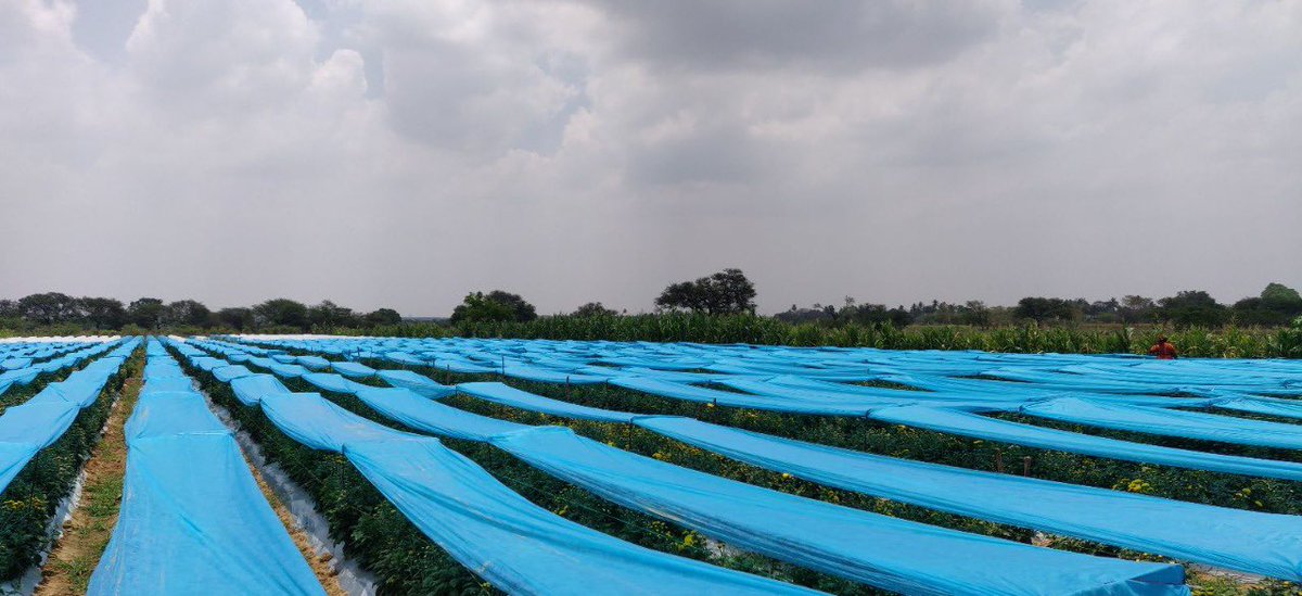 Agriplast Tech India Pvt Ltd tweet media