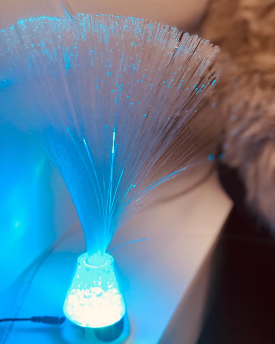 F6thStudySupport tweet media