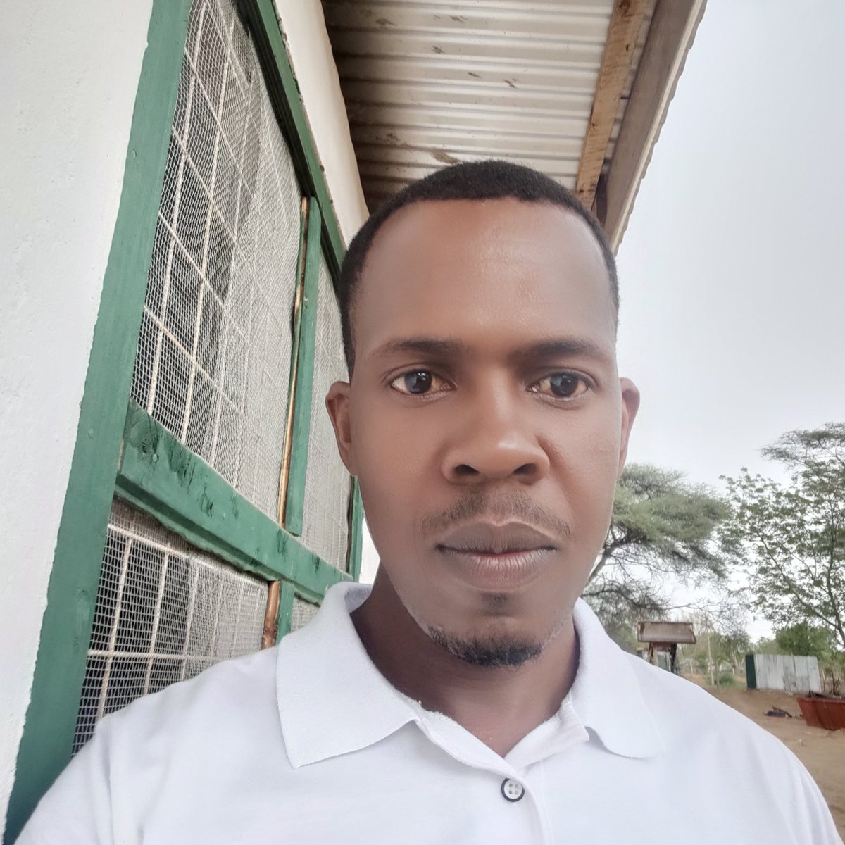 David Boyo tweet media