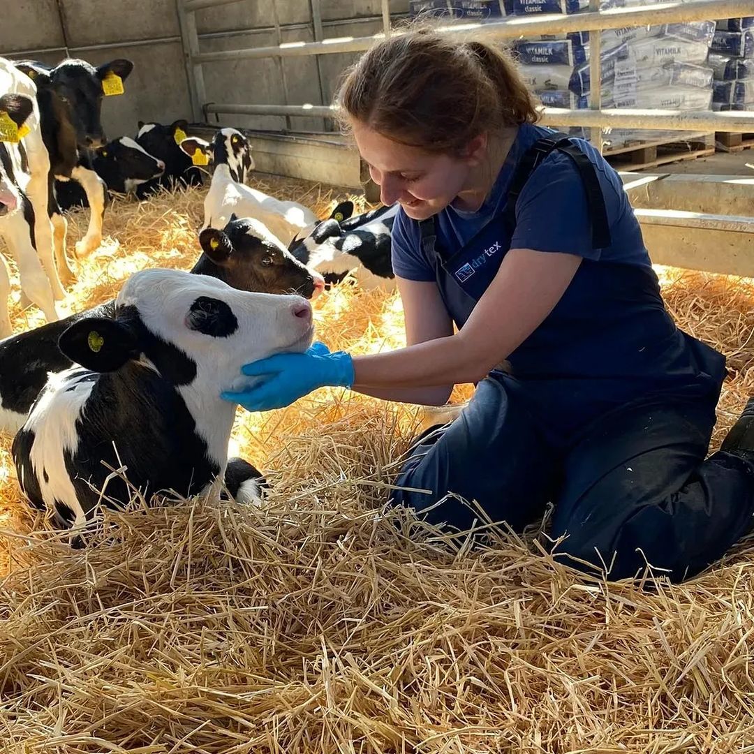 SomaDetect's tweet photo. Dairy shout-out time 📣 Check out this awesome pic from @farmer_jeans (via Instagram) 🐄 Her account shows you the ins and outs of working on a #dairyfarm and we love her page! Keep it up @farmer_jeans 🙌 #SomaDetect #SomaDetectTechnology #dairytechnology #agtech https://t.co/MOqm8a5yNB