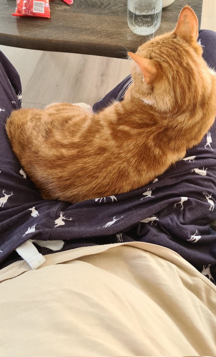 TrU3Ta1ent UK on Twitter "I swear nayla is getting more and more