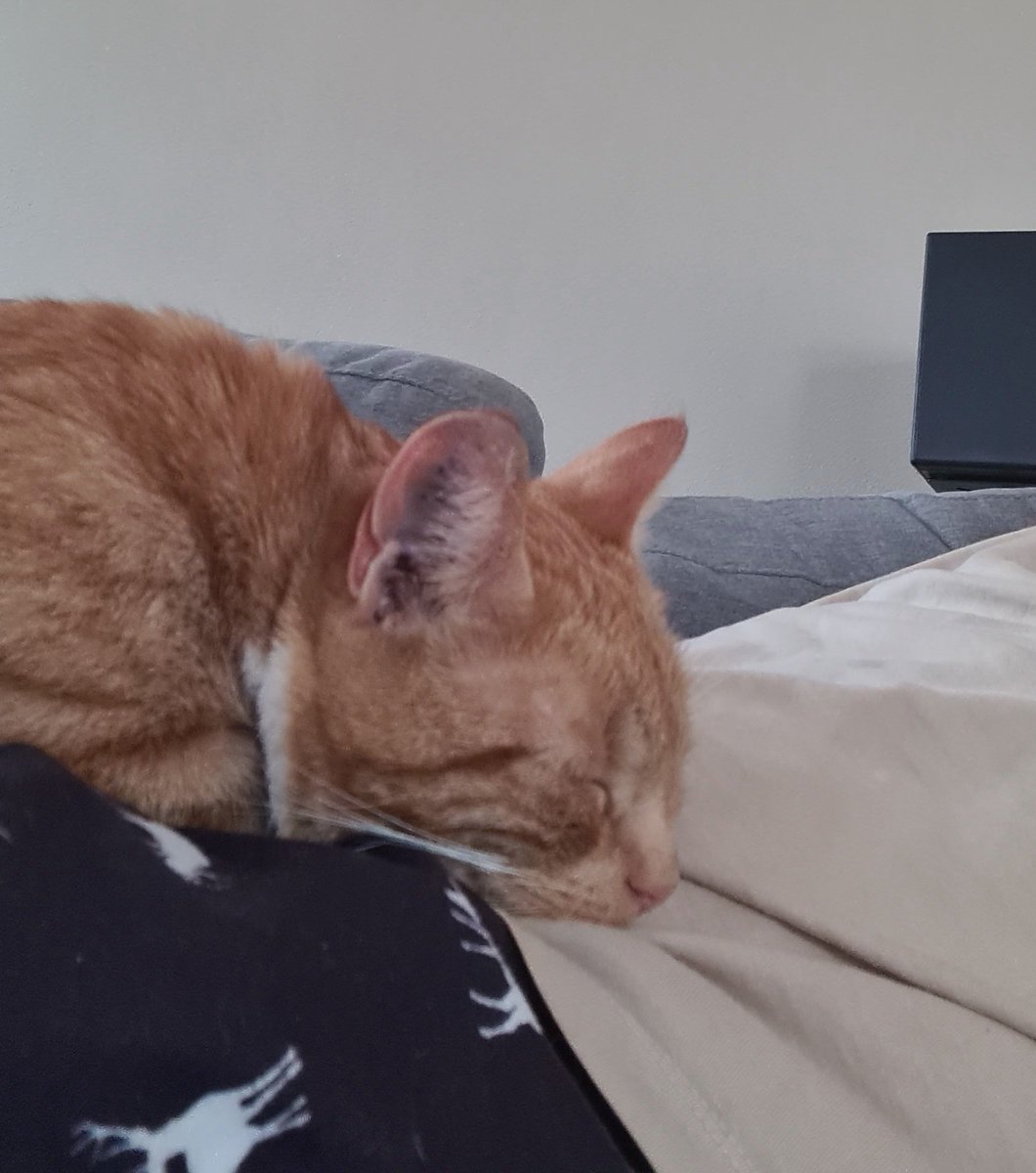 TrU3Ta1ent UK on Twitter "I swear nayla is getting more and more