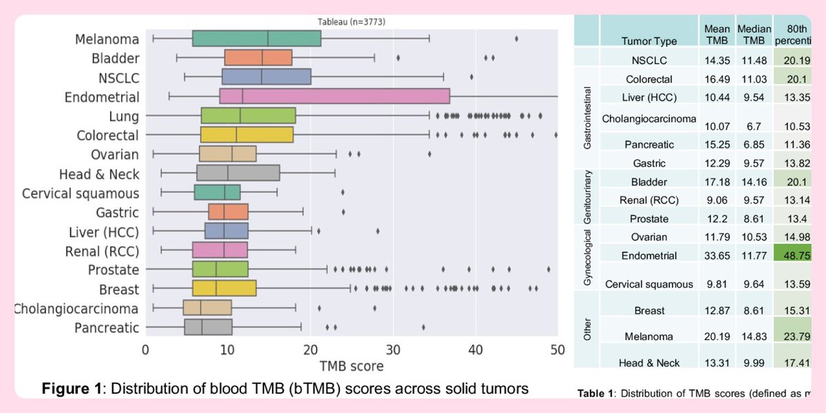 pashtoonkasi's tweet photo. I actually am glad that #bTMB is available both in clinic &amp; #clinicaltrials. My🔑message is that like #LiquidBiopsies, you need to be able to use the tool. Know that not all platforms are alike, &amp; ≈tTMB. Can’t unroll the rollout. Increase awareness.💡➕ can change over time📈. https://t.co/t7JF0spOUL