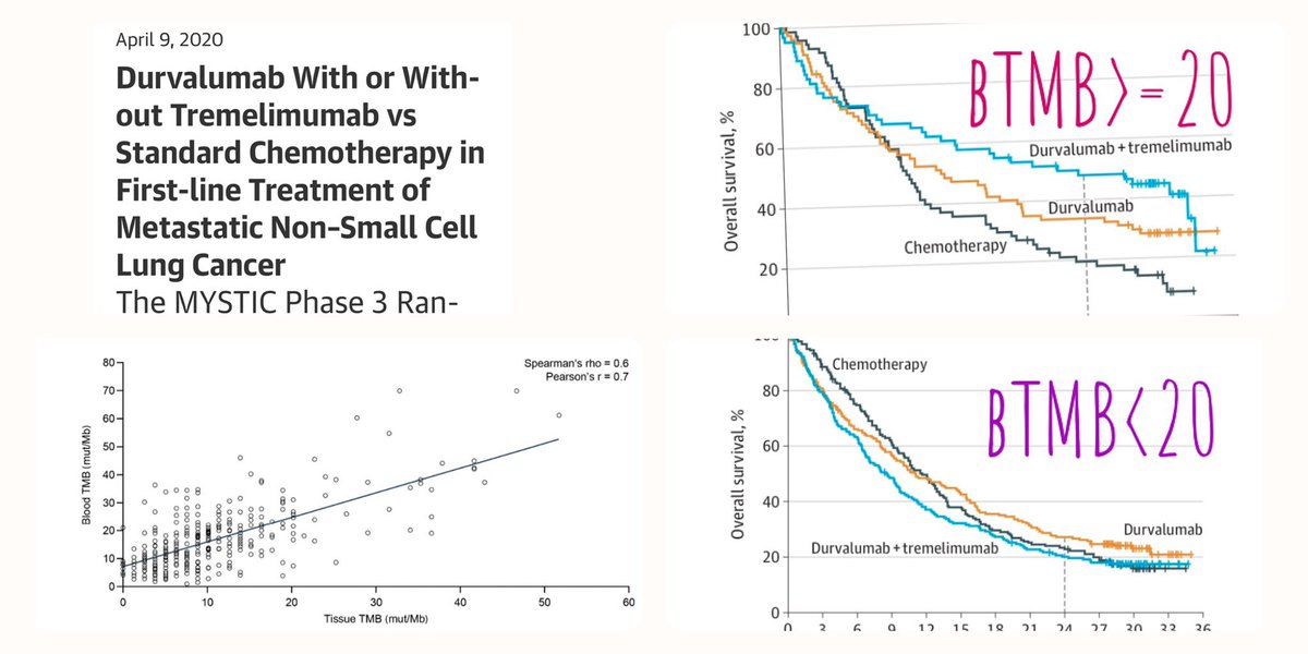 pashtoonkasi's tweet photo. I actually am glad that #bTMB is available both in clinic &amp; #clinicaltrials. My🔑message is that like #LiquidBiopsies, you need to be able to use the tool. Know that not all platforms are alike, &amp; ≈tTMB. Can’t unroll the rollout. Increase awareness.💡➕ can change over time📈. https://t.co/t7JF0spOUL