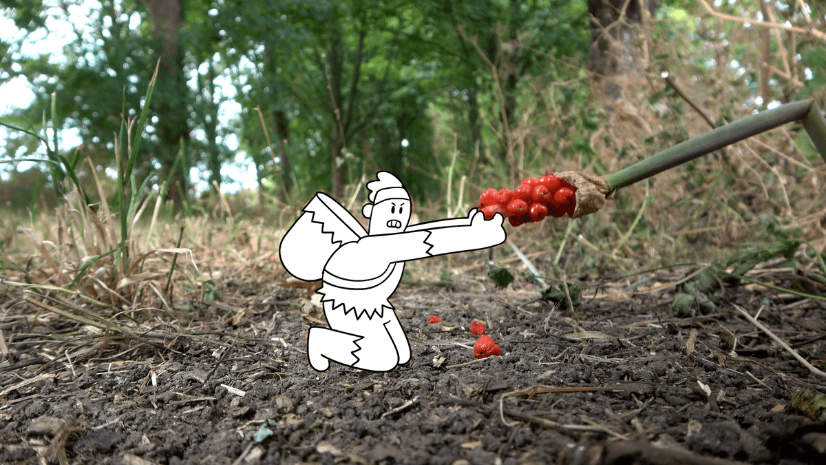 TipTutZone's tweet photo. We're #live again working on merging #animation and film! Get over here and hang with us! https://t.co/FkRlLDY66x https://t.co/FwcyMmZxx5