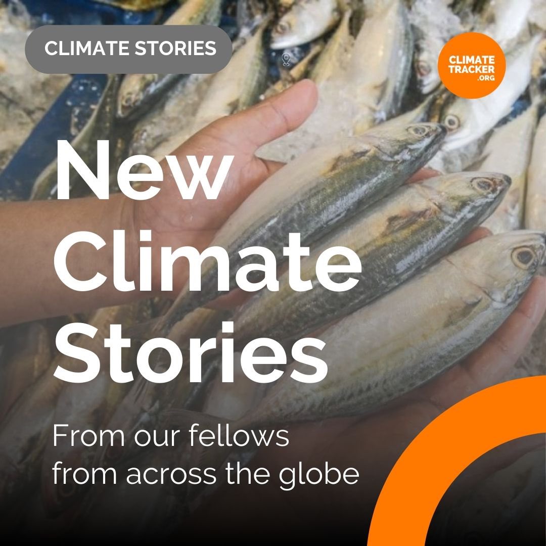 Climate Tracker tweet media