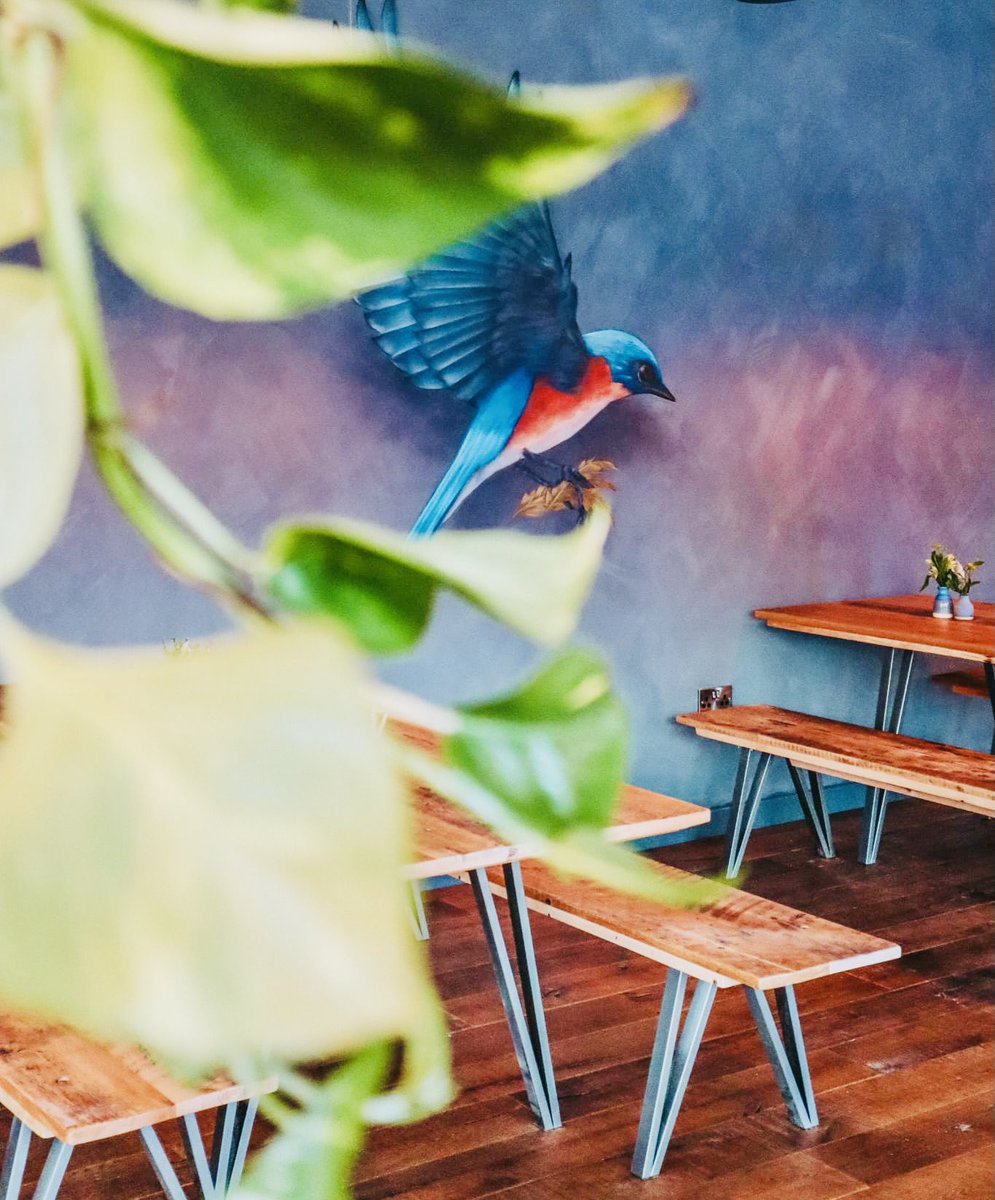 Bluebird Bakery tweet media