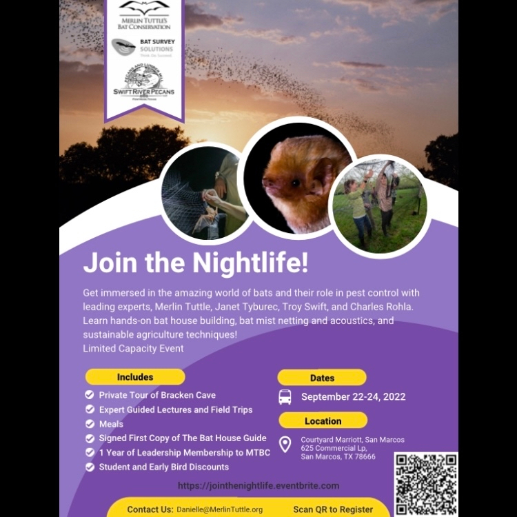 MerlinsBats's tweet photo. Spots still available! Act fast! ๐ฆ
#bathouses #batsarecool #pecans https://t.co/k74y03KS5Y
