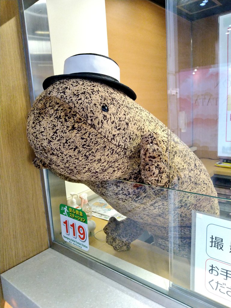 オリックスの株主優待で人気のやつが京都駅にいた