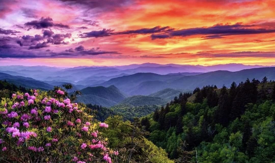 Daisylove1322's tweet photo. @SiKImagery Happy hump day, y'all!
LOVE this one Jeremy, but that's nothing new when it comes to your stuff..❤️ Def checking out the new video soon!
I've got #landscape &amp; #mountains shots for daysss, but these are a few of my favs. https://t.co/MpzeFwUbwp