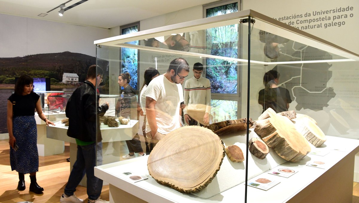 📸Velaquí unha pequena escolma das imaxes que nos deixou onte unha xornada con 
☕️cafés de #linguas
 🩰 danza
🥎deporte
🎛️música
📸fotografía
🏛️visitas 
🚶‍♂️rutas guiadas

... e moito máis na #BenVidaUSC 🧵👇