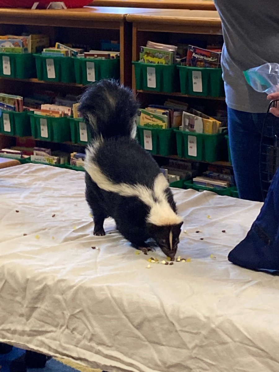 Seldens Landing Libr tweet media