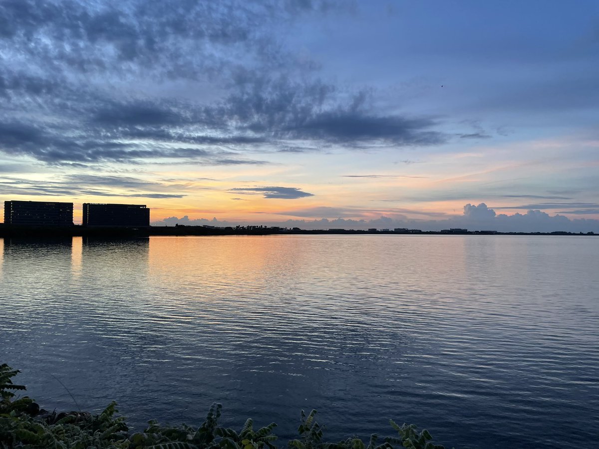 Noellerson's tweet photo. Greetings from Tampa! #ECTAC #FASFEPA #workperk #morningmiles https://t.co/KG0ZgTtqVq