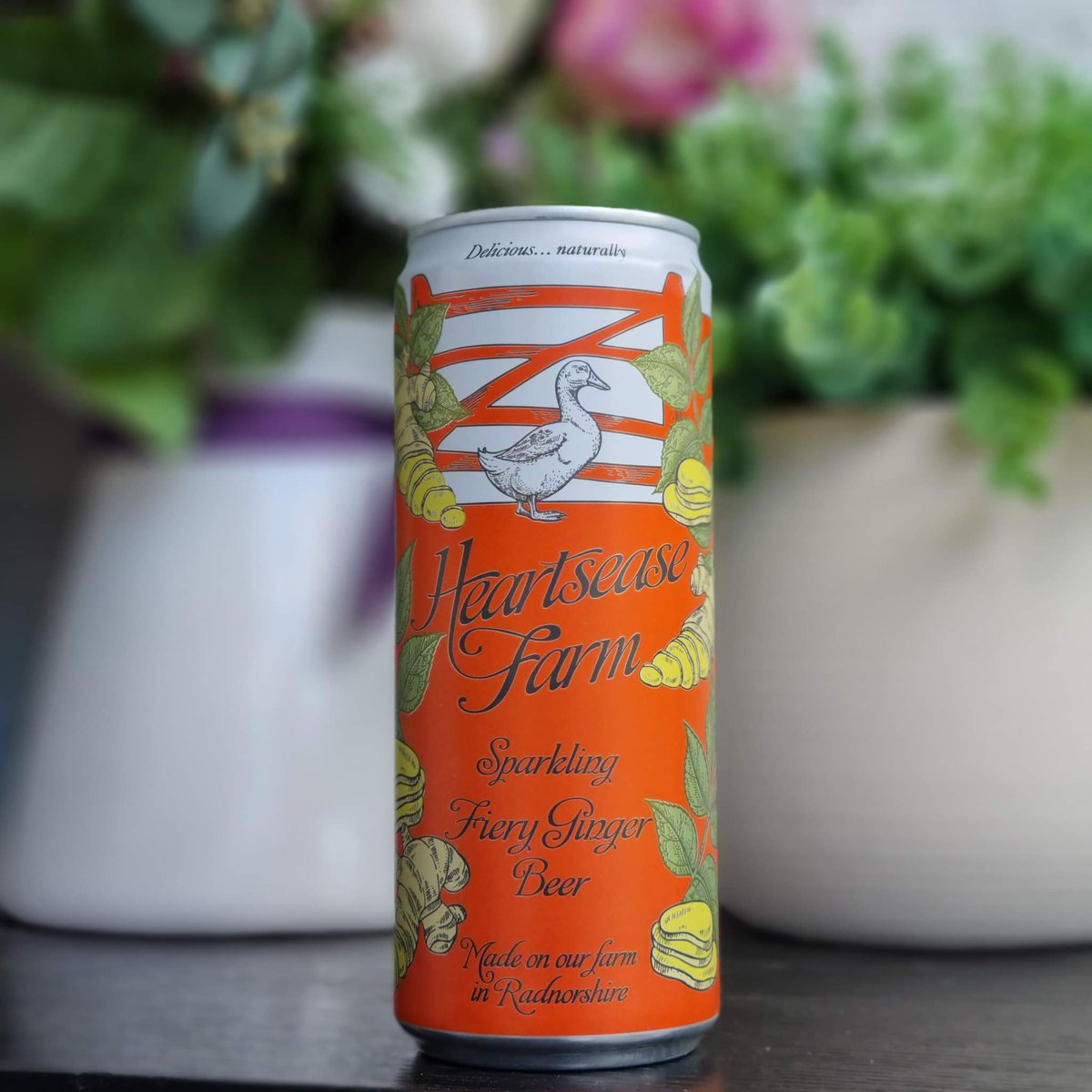 etspeaksfrom's tweet photo. I was sent these amazing premium canned #SummerInACan drink to try. Thanks to the @canmakersuk 
We love cans over plastic materials. Do you know that cans are infinitely recyclable? Aluminium cans are the most recycled drinks containers in the world! #MetalRecyclesForever https://t.co/N1u0cuqXeq