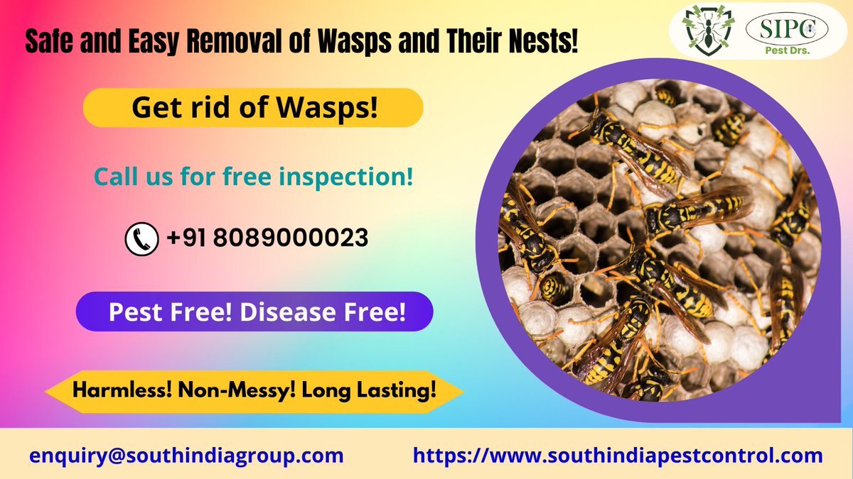 sipcpestcontrol's tweet photo. Don't let pesky wasps ruin your home or office! Stop them in their tracks with the SIPC wasp control service. https://t.co/wxX2oEhoAP, Call: +91 8089000023 enquiry@southindiagroup.com #waspcontrol #waspscontrolservices #waspstreatment #pestcontrol #pestcontrolservices #pesttreat https://t.co/eBf4NPnl3F