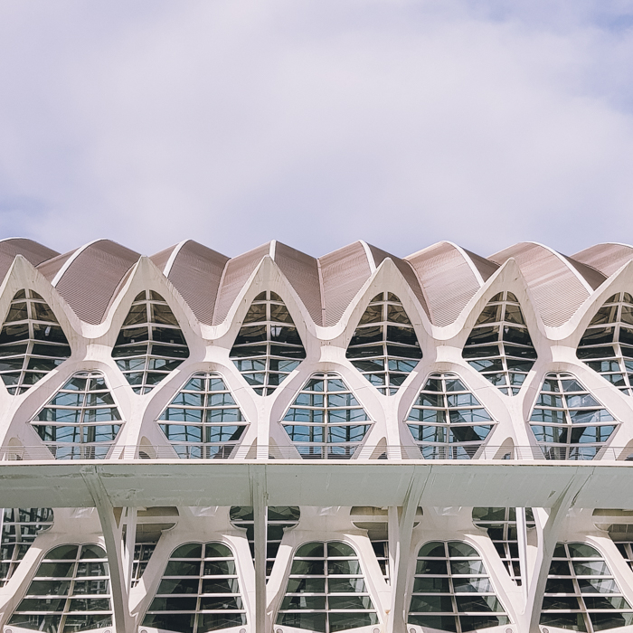I loved the Ciutat de les Arts i les Ciències in Valencia. The wide spaces, modern buildings, and clean lines form their own little area in the city, a decent walk away from the historical center.⁠
⁠
⁠
#Valencia #ValenciaSpain #ValenciaCity #Valencia… instagr.am/p/CifEGCruM8-/