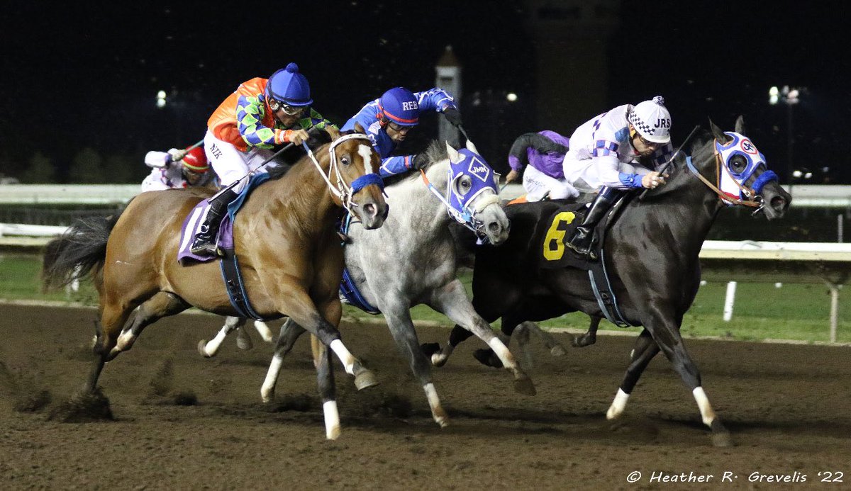 MNQHRA's tweet photo. Relentless Flash (6) &amp; J Salazar for trainer J Olmstead and MN owner/breeder T Maher…Iza B Quick (9) &amp; R Beverly for trainer M Norton &amp; MN owner/breeder K Christenson…Eos Whiskey Girl (10) &amp; N Goodwin, trained by ER Hardy for MN owner/breeder C Wilmes; @CanterburyPark https://t.co/MWf5ENA0rU