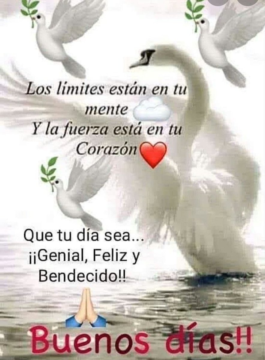 Buenos días Venezuela 🇻🇪