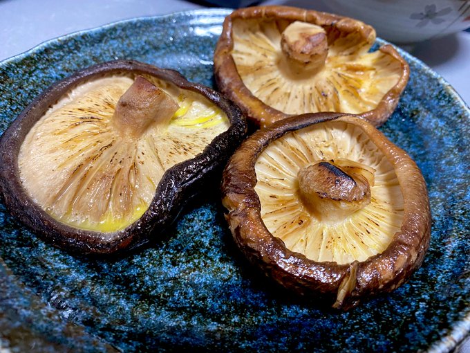 どんこでかぁあぁ😍💕✨うまぁあぁああ😋✨ 