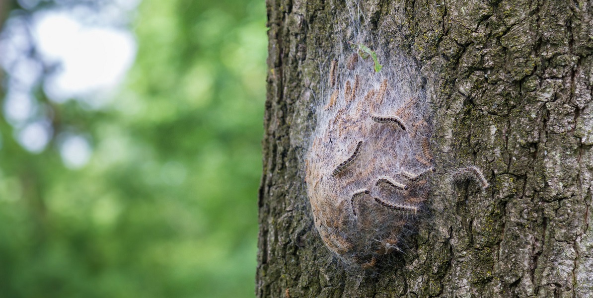 Zone.college tweet media