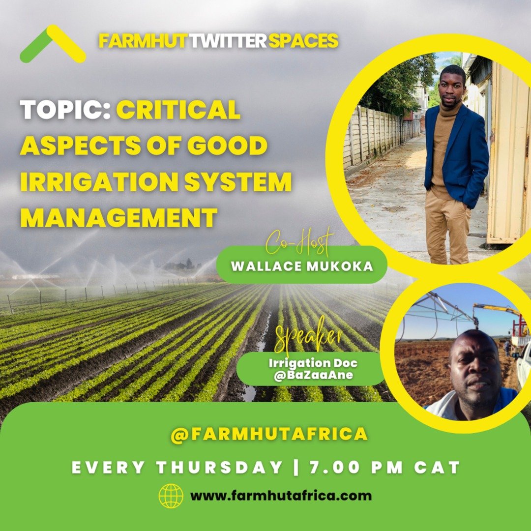 Let's talk irrigation!!!