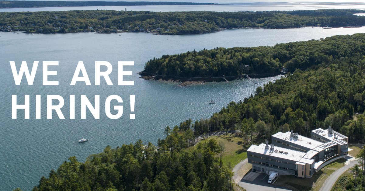 #PostdocAlert! We've got three great postdoctoral positions open. If you're working in #kelpforests, #eDNA, #environmentalchemistry, or #bluecarbon, come take a look. 

bigelow.org/careers