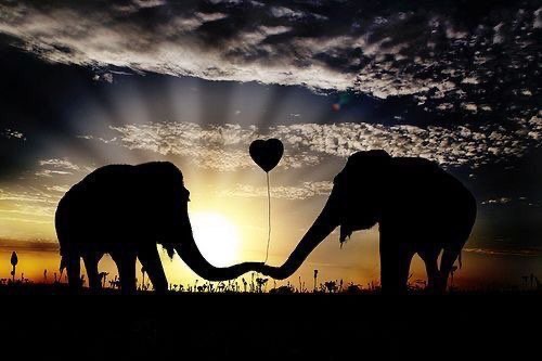ramblingsloa's tweet image. Be soulful
Be Kind
Be in Love❤️
