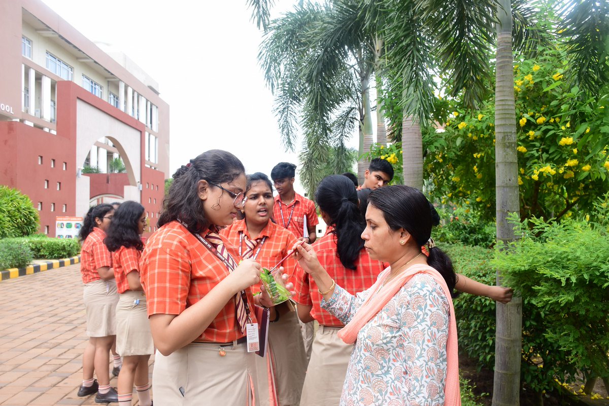 SAI_Edu_In's tweet photo. Class XI SAIoneers from the Biology stream attended their class amidst plants to study about Morphology in plants.
#phyllotaxy
#venation
#inflorescence https://t.co/5VUMmw9riC