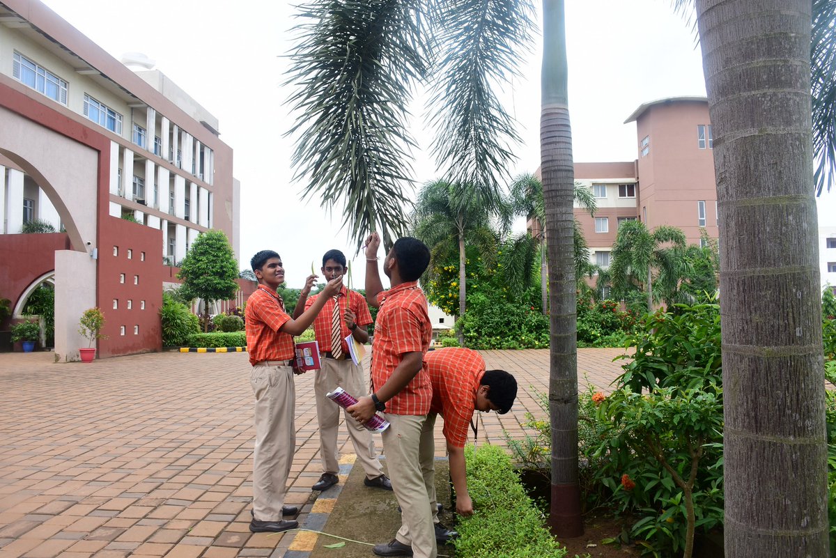 SAI_Edu_In's tweet photo. Class XI SAIoneers from the Biology stream attended their class amidst plants to study about Morphology in plants.
#phyllotaxy
#venation
#inflorescence https://t.co/5VUMmw9riC