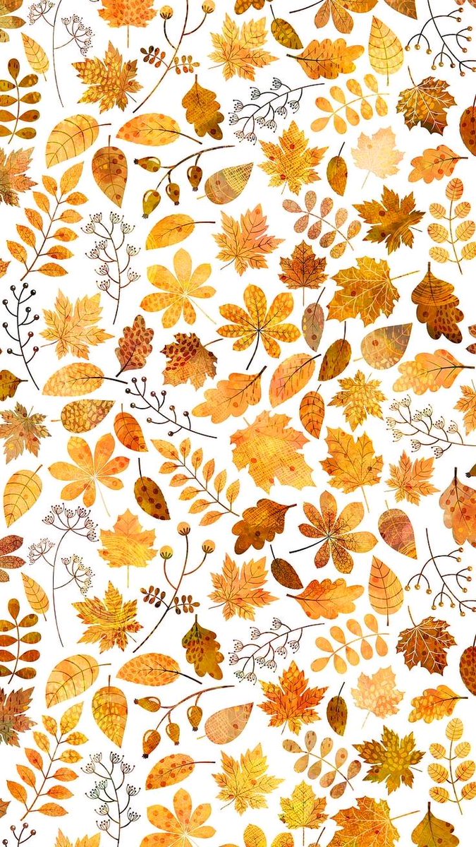 saltybedbug's tweet photo. Wallpaper wednesday: gorgeous orange fall leaves 💕

Disclaimer: not my art. If you know the artist, please lmk so I can tag them or rt their post instead. 
#fall #mapleleaves #fallwallpaper #autumn https://t.co/YOIqSmfH2l