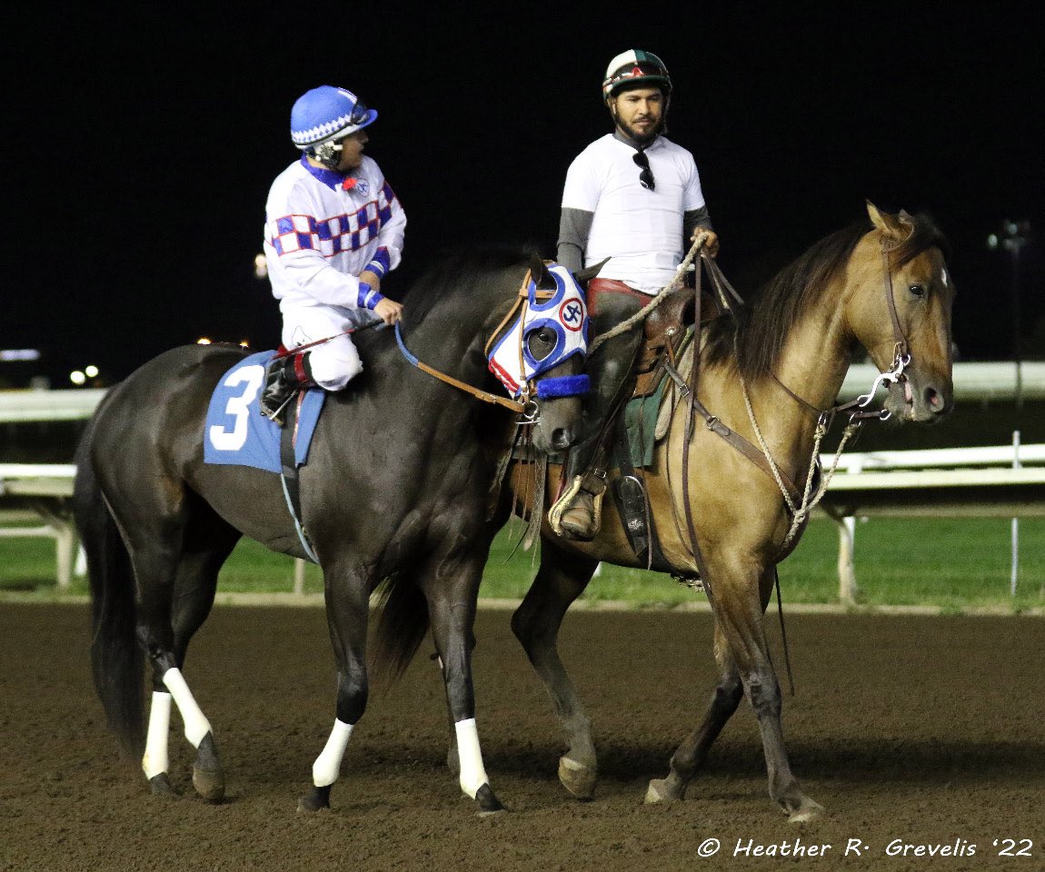 MNQHRA's tweet photo. Chloes Magic &amp; Armando Alvidrez for trainer Jason Olmstead &amp; MN owner/breeder Lunderborg LLC; @CanterburyPark https://t.co/aocdwWgJFG