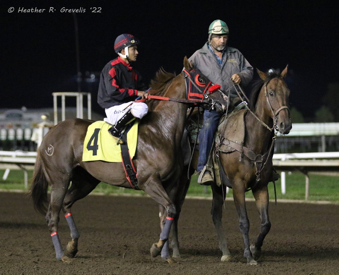 MNQHRA's tweet photo. Pr Little Miss Guns &amp; Giovany Estrada for trainer Tyler Stein &amp; MN owner/breeder Eileen Meyers; @CanterburyPark https://t.co/PYzhBJad7D