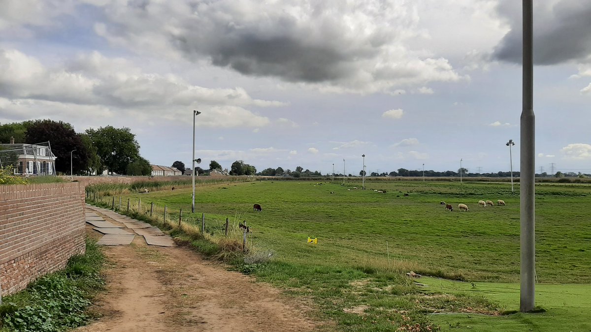 JeroenHaan1's tweet photo. Werkbezoek: #StenenDijk in Hasselt is een voormalige zeedijk (Zuiderzee) en Rijksmonument. Onderdeel van #dijkversterking #Vechtdijken @WDODelta & @HWBP_nl. Realisatie van #waterveiligheid-opgave met stalen damwand, die #emissieloos/#elektrisch en trillingsvrij wordt ingebracht. https://t.co/aPDUttYy3i