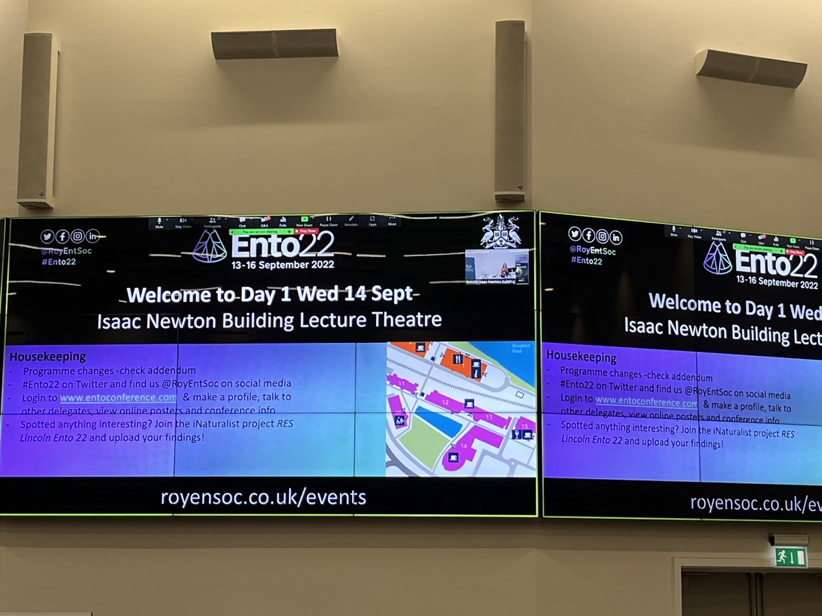 bek_farley's tweet photo. Check out our #wildID and #FSCPublications if guided at #Ento22 . All set for an exciting g few days of #insect #Science with the @RoyEntSoc https://t.co/S3Y2kWtLbW