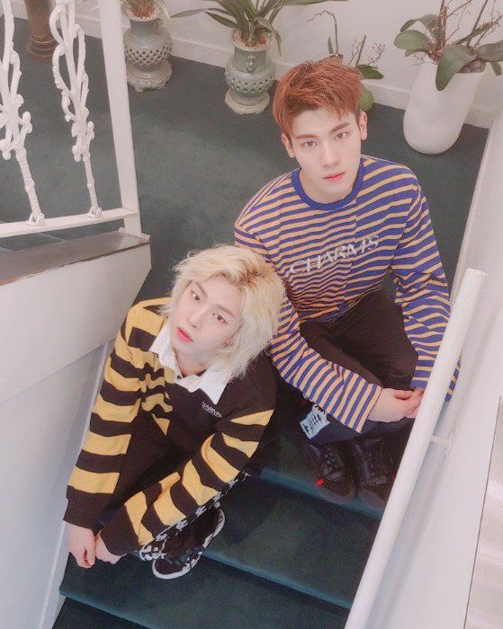 newkiddimal's tweet photo. 🦁🐯 https://t.co/QiXAlaeBcv