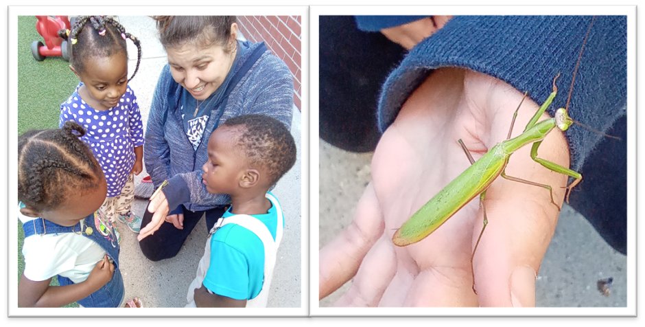 Promise Early Education Center tweet media