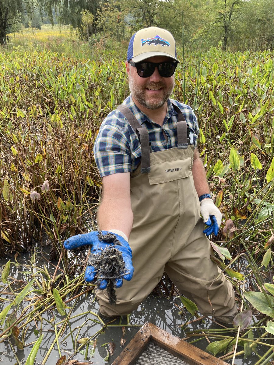 Hunting invasive #hydrilla at the Water Stewardship Center! #SeaGrantWeek