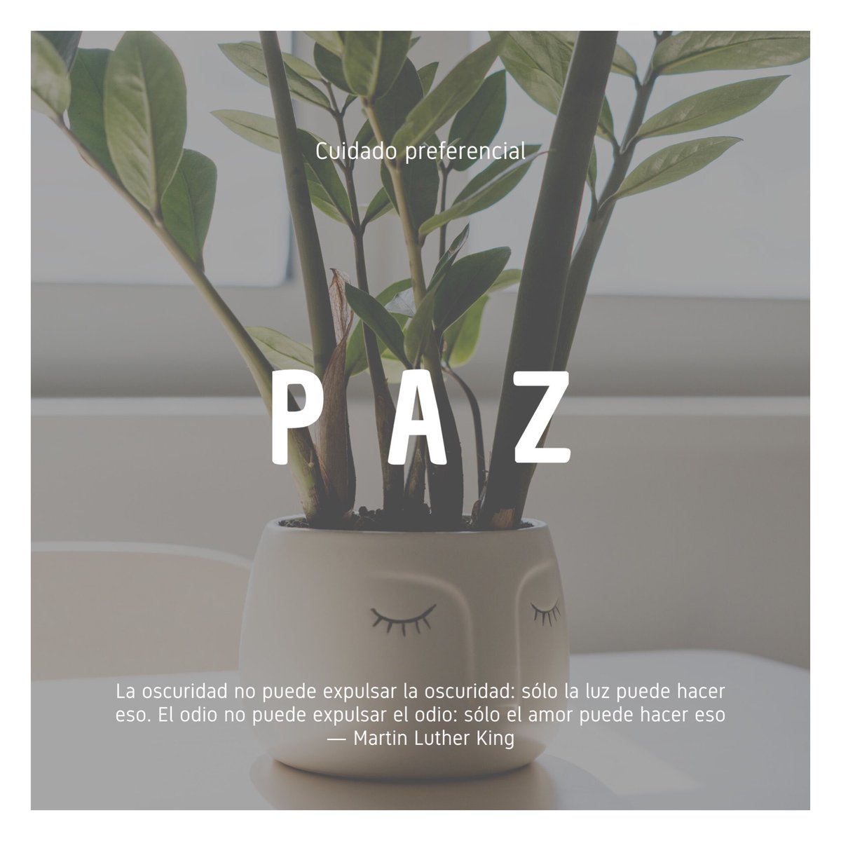 pgsalcedo's tweet photo. #Paz https://t.co/NoIt7bJ20x